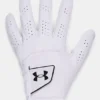 Herren UA Spieth Tour Handschuh