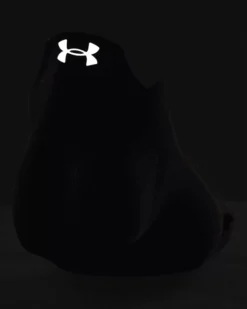 Unisex UA ArmourDry™ Run Lite Füßlinge Im 2er-Pack -Modegeschäft Für Sportbekleidung 1376077 012 REFL SL