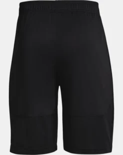 Herren UA Raid 2.0 Shorts -Modegeschäft Für Sportbekleidung PS1361511 001 HB